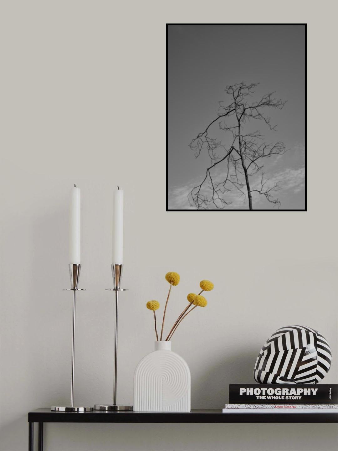 a burned tree and sky Poster och Canvastavla