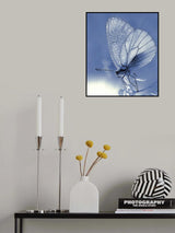 Dew in the blue morning... Poster och Canvastavla