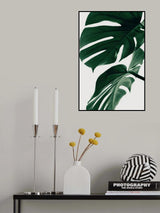 Monstera Natural 31 Poster och Canvastavla
