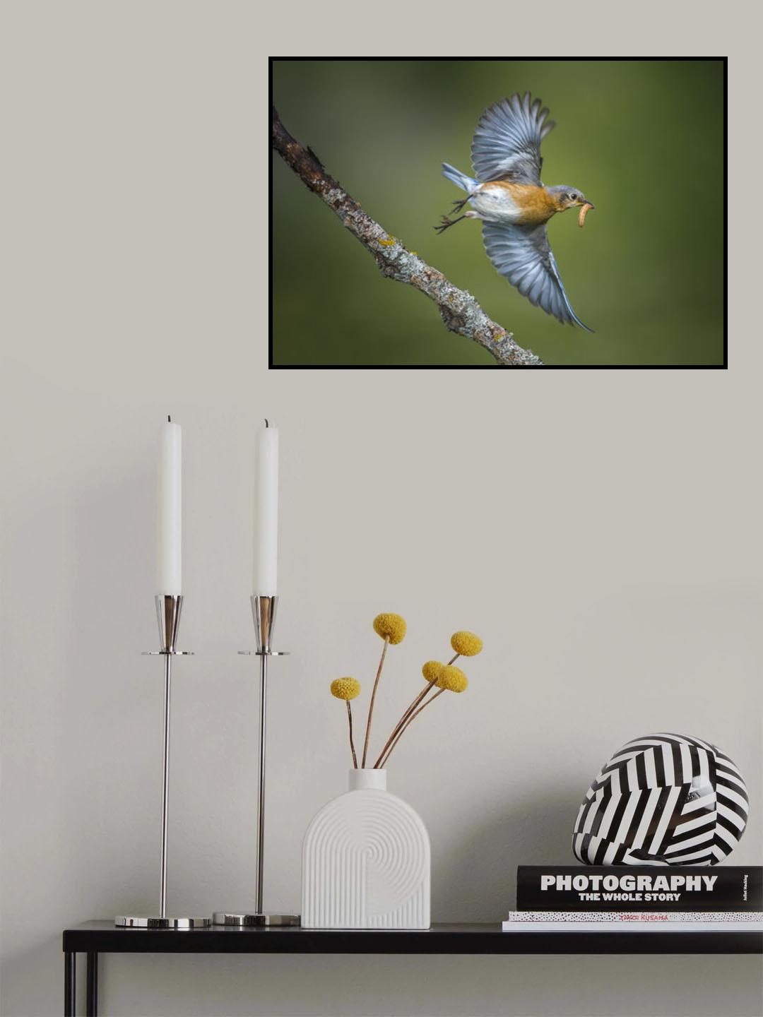 Mom is coming Poster och Canvastavla