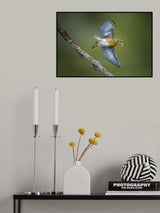 Mom is coming Poster och Canvastavla
