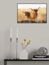 Young and old Highlander Poster och Canvastavla
