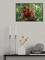 Meanwhile in the Forest... Poster och Canvastavla