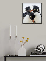Rockhopper Penguin Headbangers Ball Poster och Canvastavla