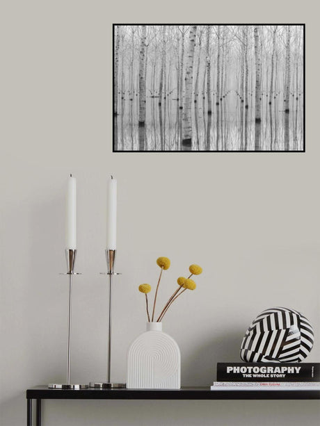 Novembre 2014 Poster och Canvastavla