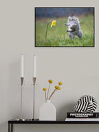 Spring Dance Poster och Canvastavla