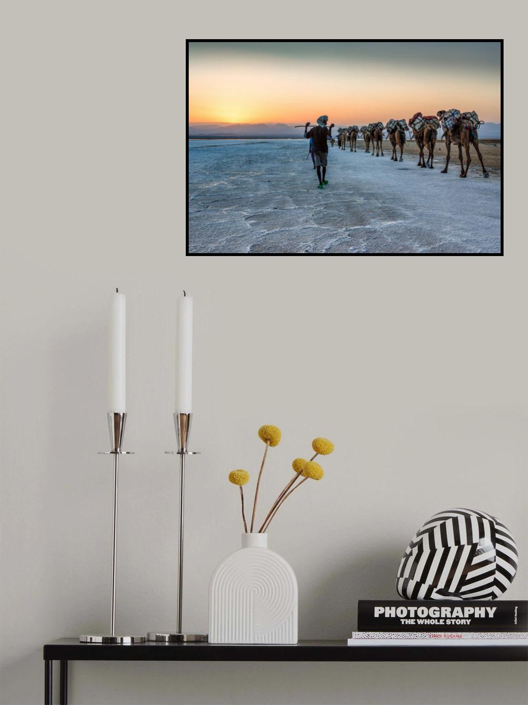 Salt transportation Poster och Canvastavla
