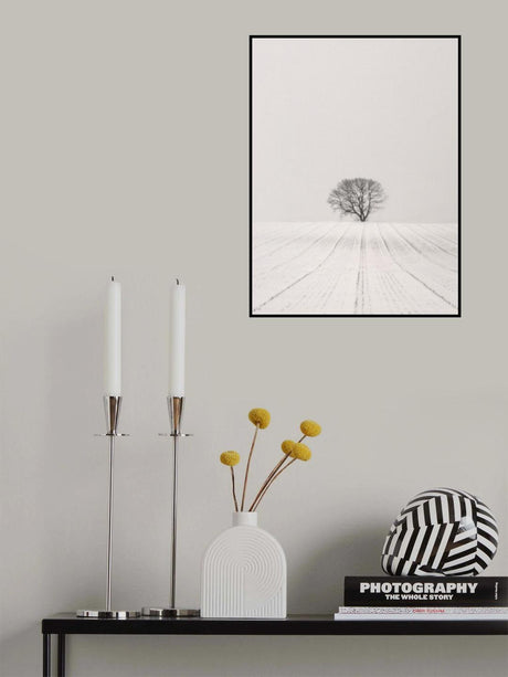 White Desert Poster och Canvastavla