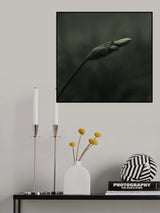 Reborn Poster och Canvastavla