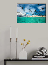 Ocean bird Poster och Canvastavla