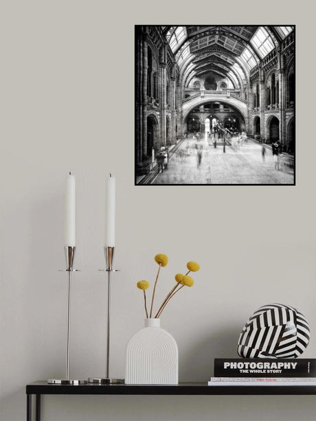 Natural History Museum of London Poster och Canvastavla