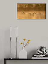 Swan Lake Poster och Canvastavla