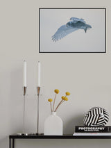 Flying Poster och Canvastavla
