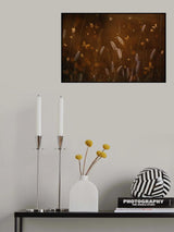 Love is in the Air Poster och Canvastavla