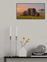 Elephent family in Amboseli Poster och Canvastavla