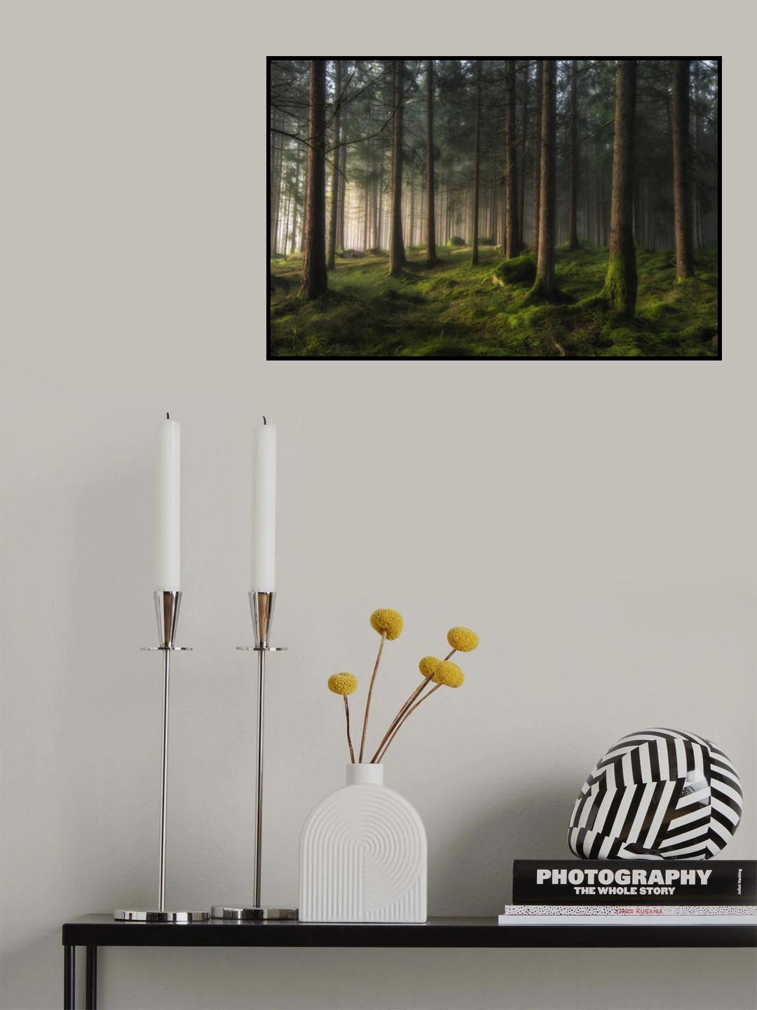A sense of spring Poster och Canvastavla
