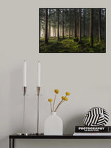 A sense of spring Poster och Canvastavla