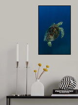 Into the blue Poster och Canvastavla