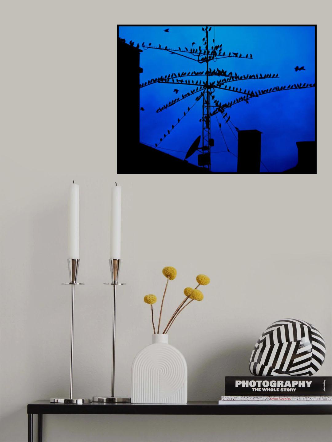 Night Meeting Poster och Canvastavla
