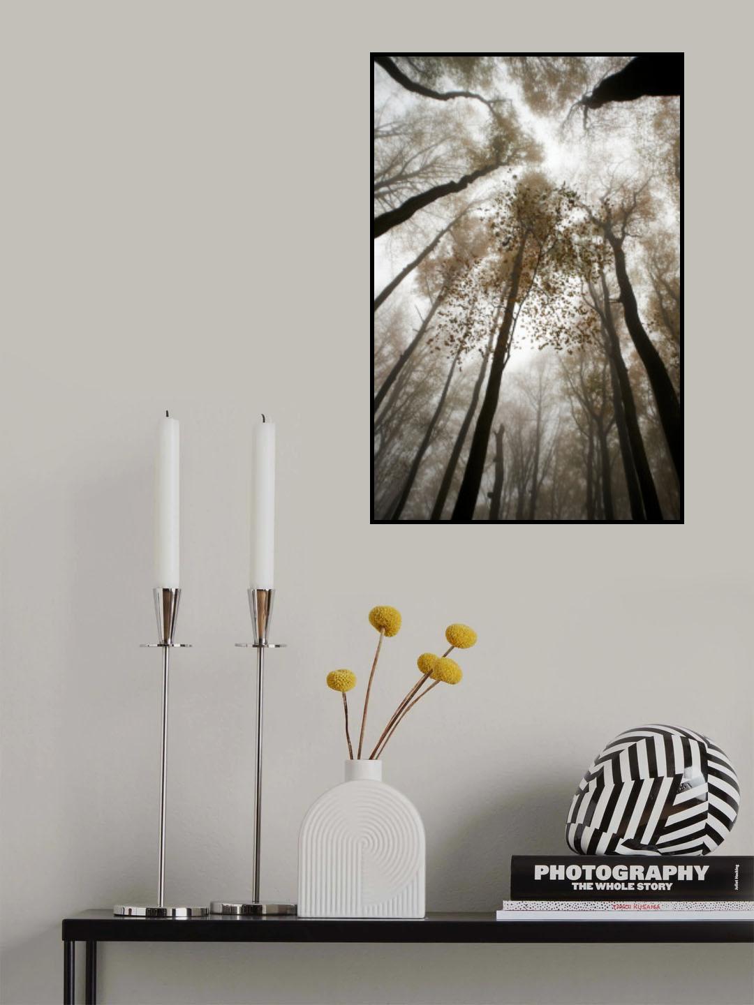 Misty Poster och Canvastavla