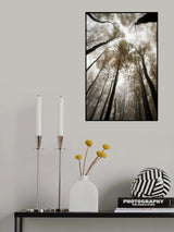 Misty Poster och Canvastavla