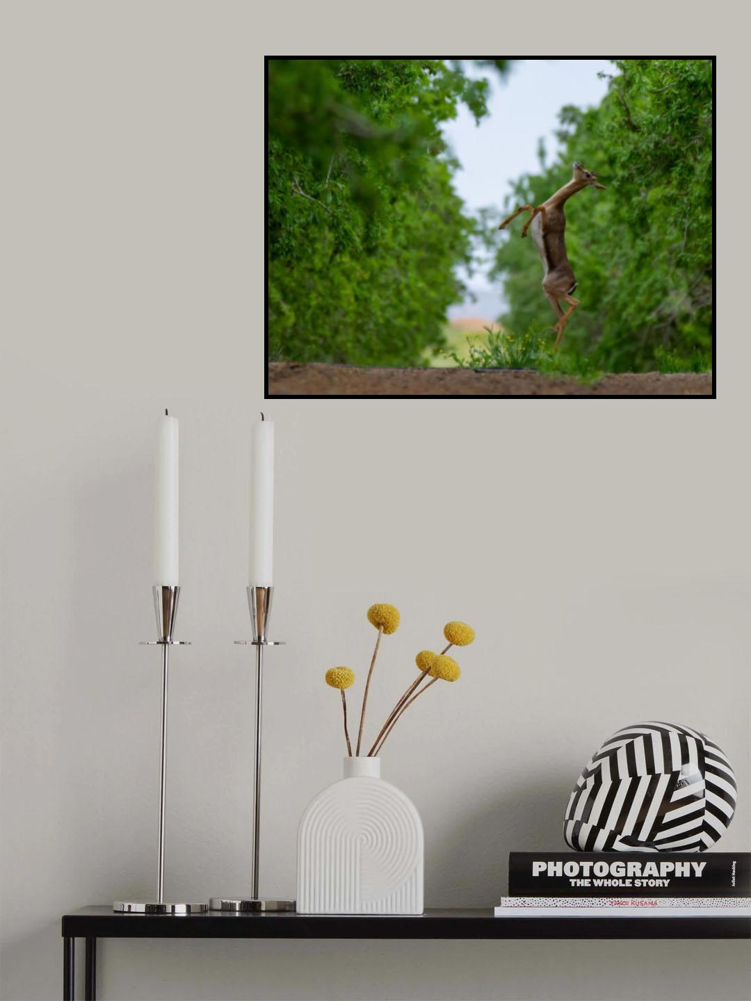 Poster och Canvastavla