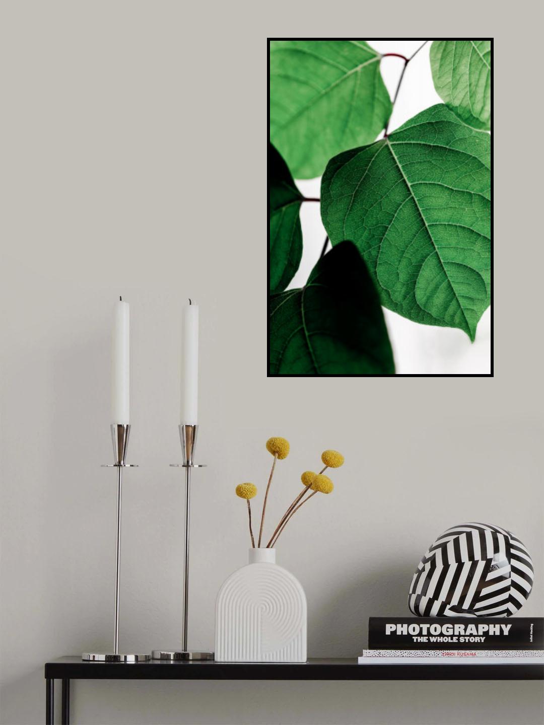 Summer Branches 2 Poster och Canvastavla