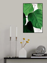 Summer Branches 2 Poster och Canvastavla
