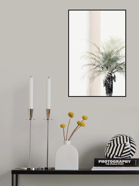 Palm tree Poster och Canvastavla