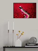 Drying incense sticks Poster och Canvastavla