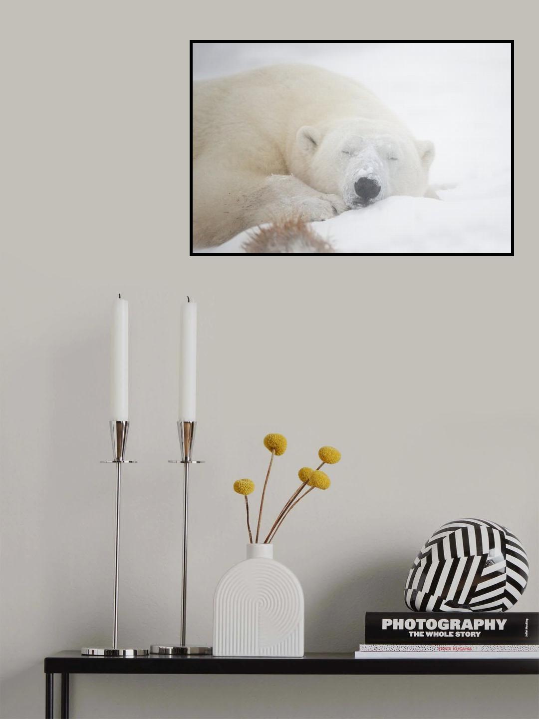 Sleeping Poster och Canvastavla