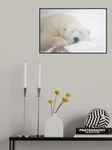 Sleeping Poster och Canvastavla
