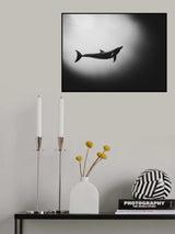 Rangiroa Dream Poster och Canvastavla