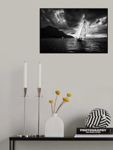 Furia Poster och Canvastavla