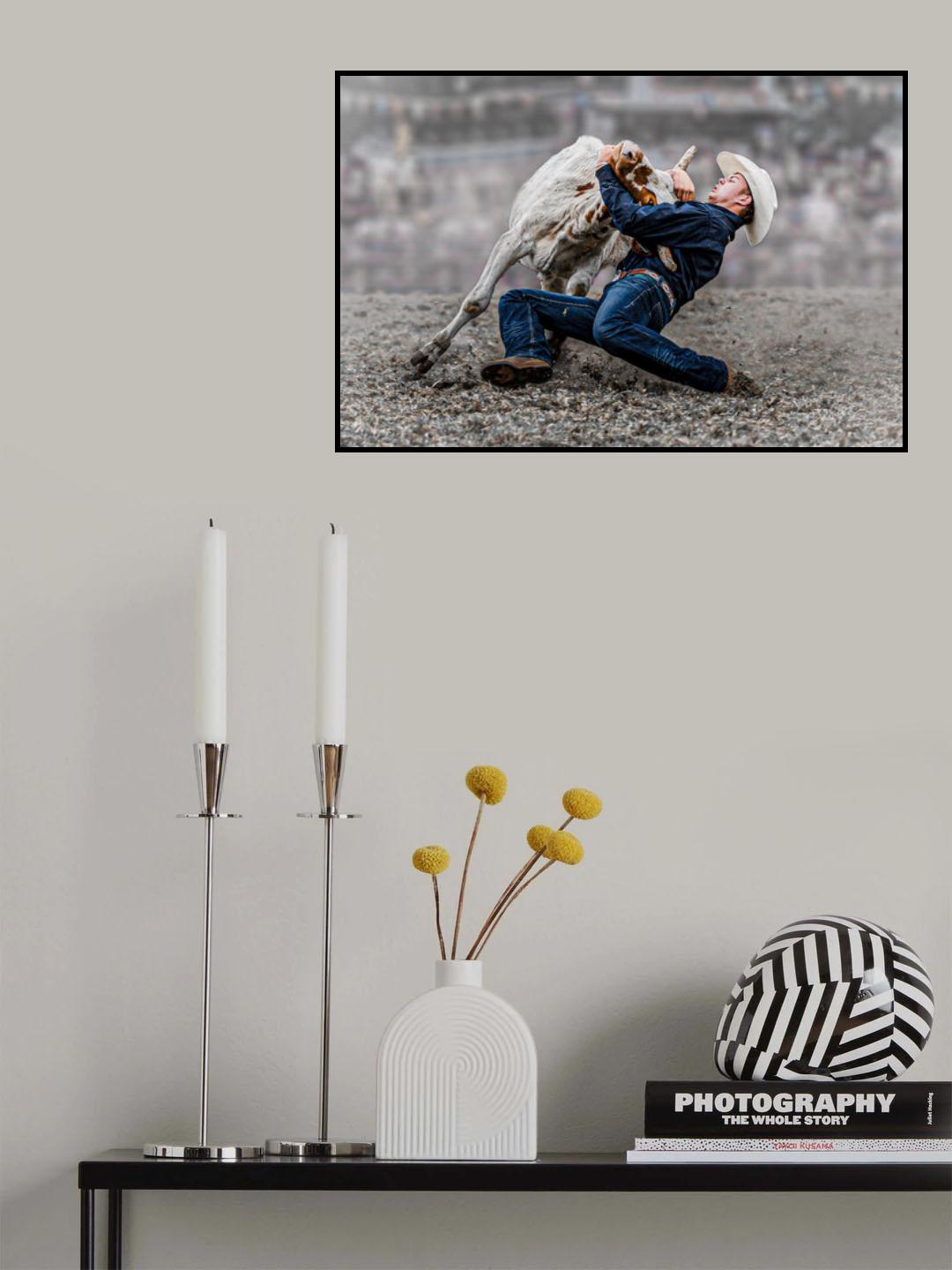 Steer Wrestling Poster och Canvastavla