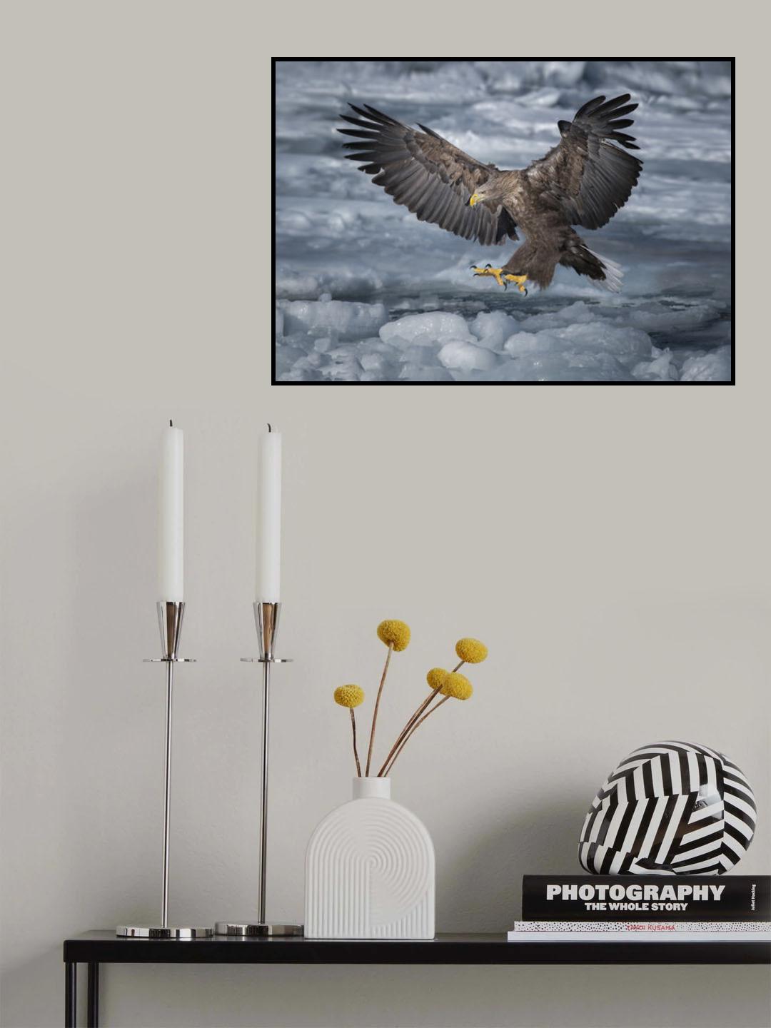 Landing Poster och Canvastavla