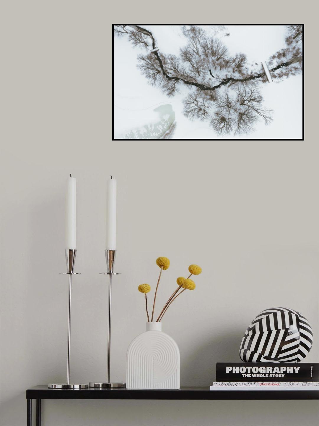 After snow Poster och Canvastavla