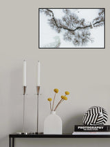 After snow Poster och Canvastavla