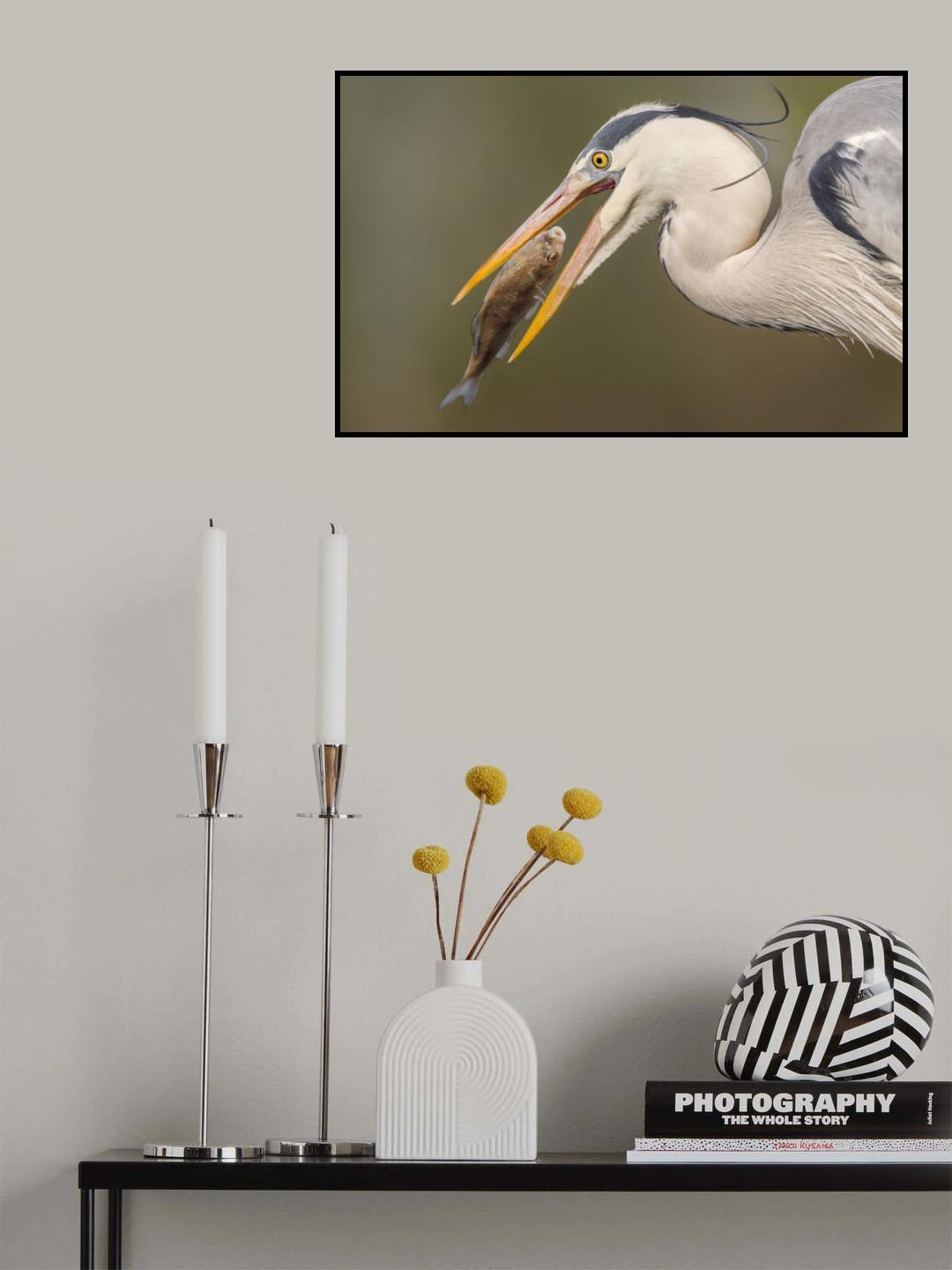 Finally, I got you Poster och Canvastavla