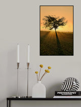 Dream of becoming big. Poster och Canvastavla