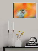 The festival of colors at the carnival Poster och Canvastavla