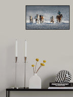 Galloping Horses In Snowy Field Poster och Canvastavla