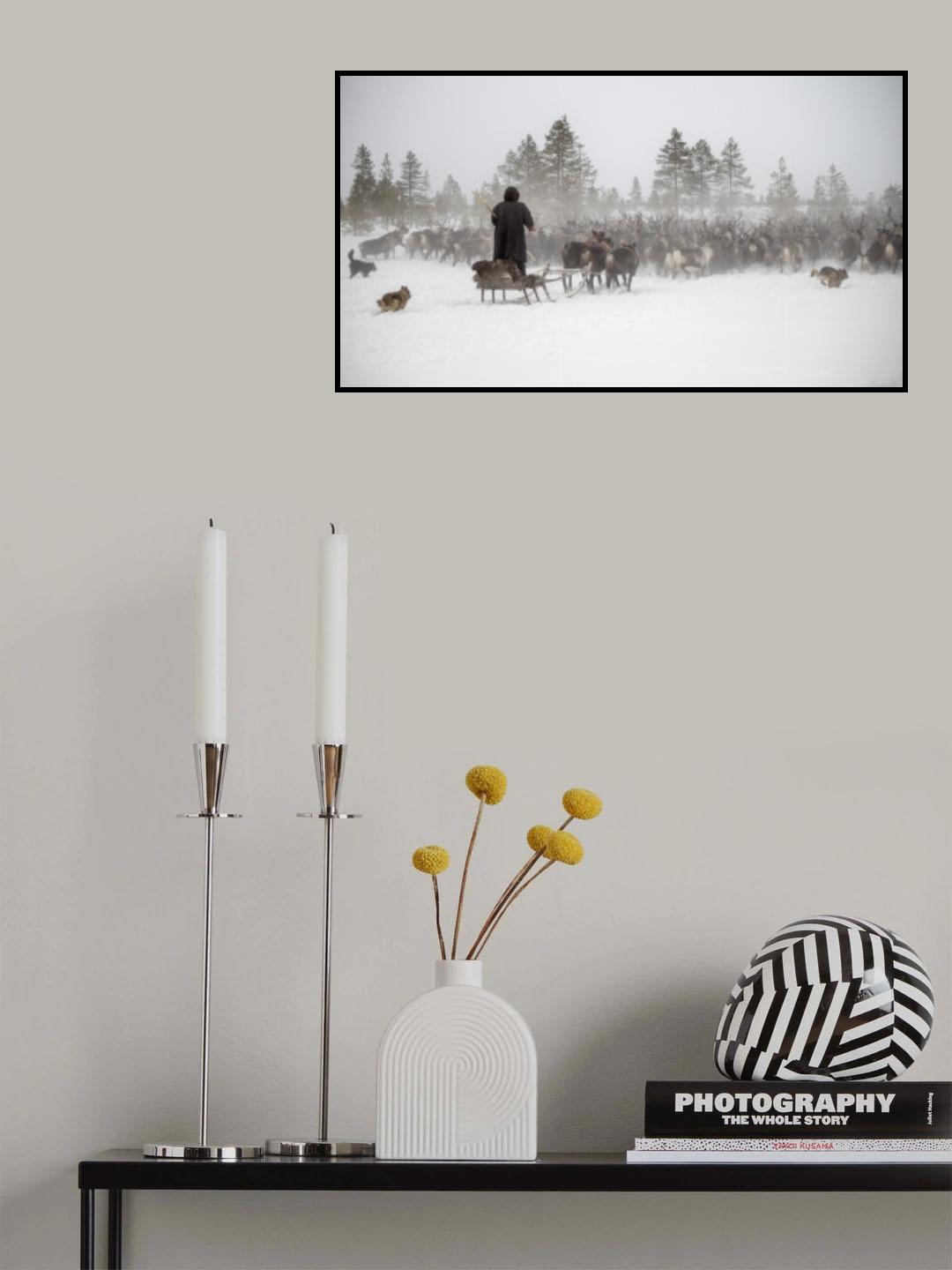 Arkadij drives a herd of reindeer Poster och Canvastavla