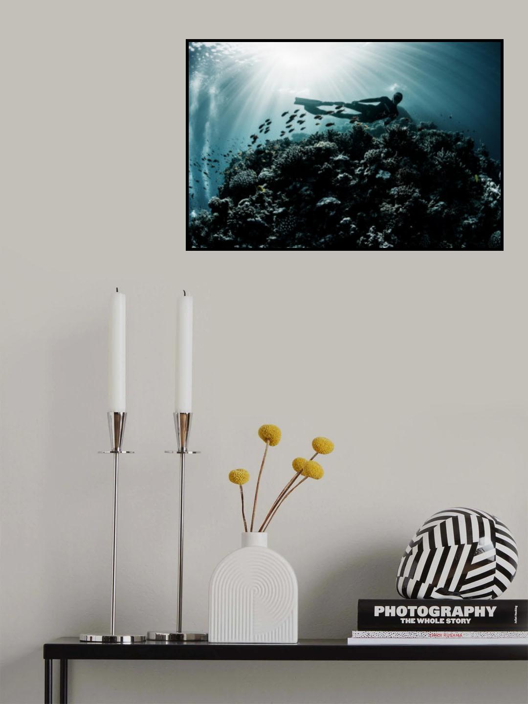 Sea life Poster och Canvastavla