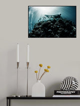 Sea life Poster och Canvastavla
