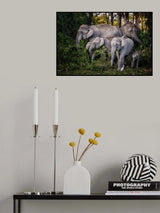 tasty leaves Poster och Canvastavla