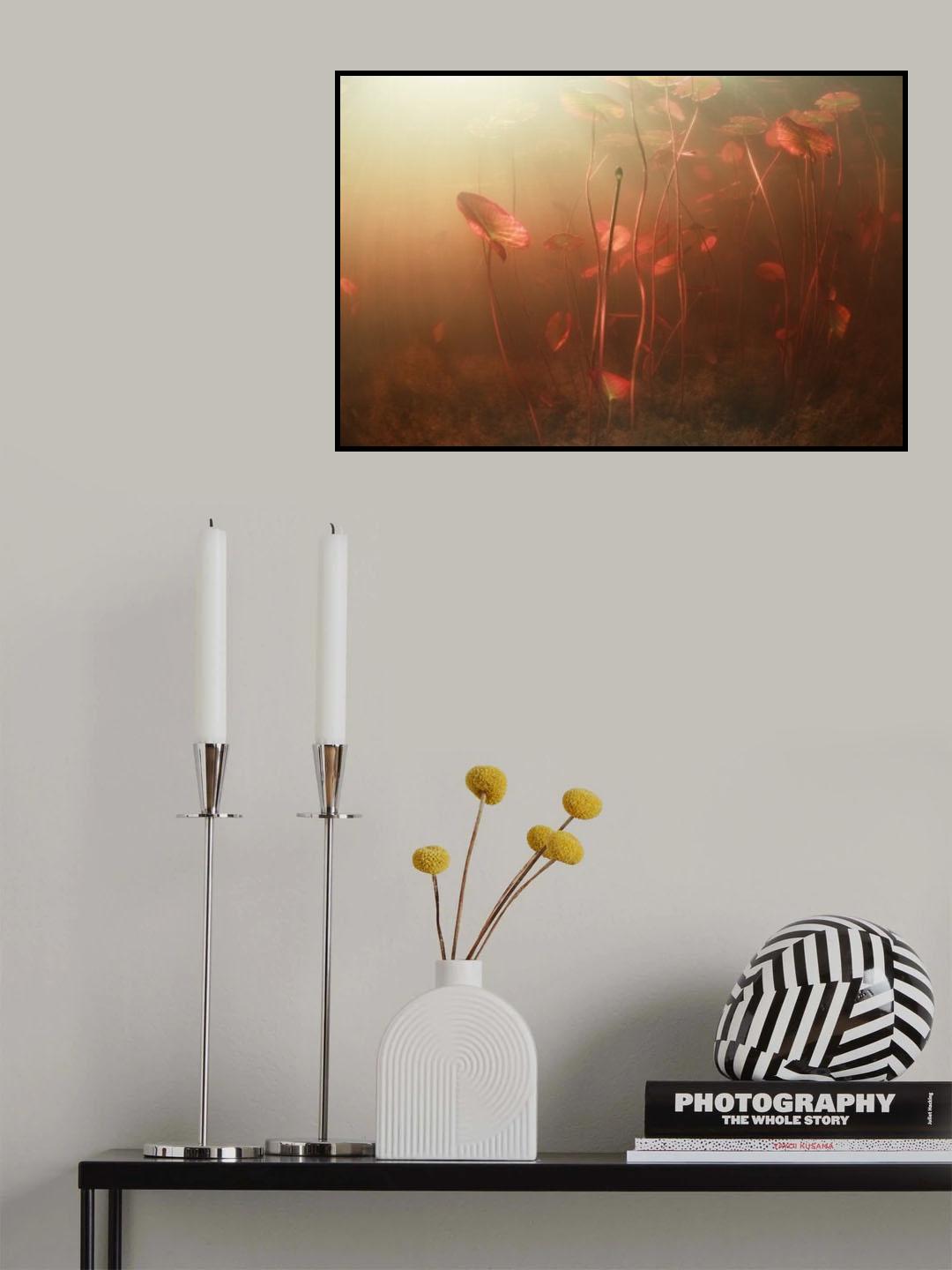 Lines world Poster och Canvastavla