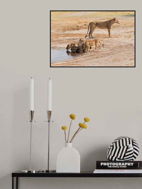 drinking pole Poster och Canvastavla