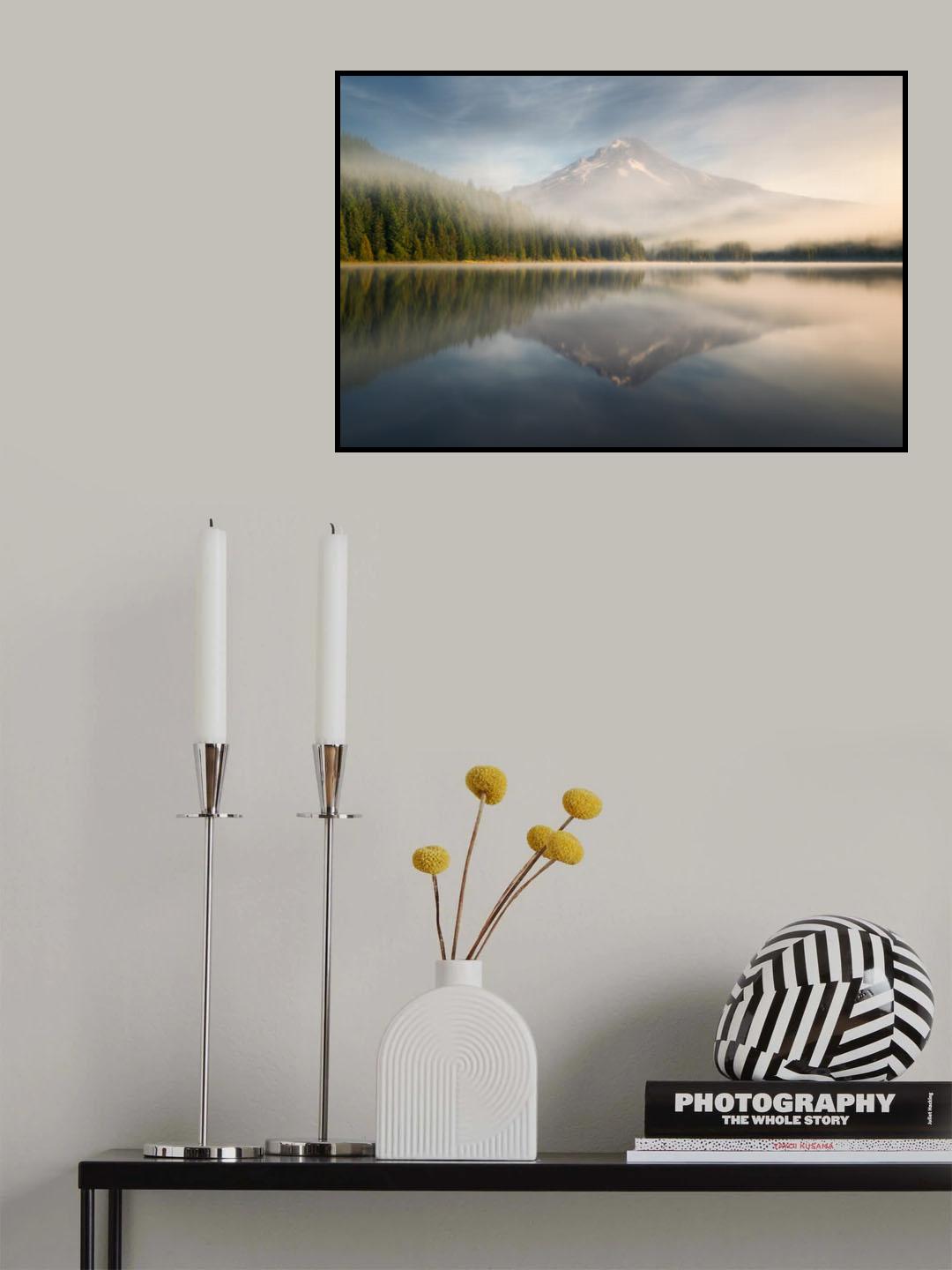 Renewed Poster och Canvastavla
