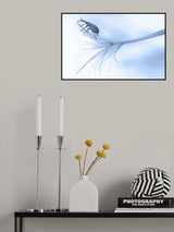 In weightlessness... Poster och Canvastavla